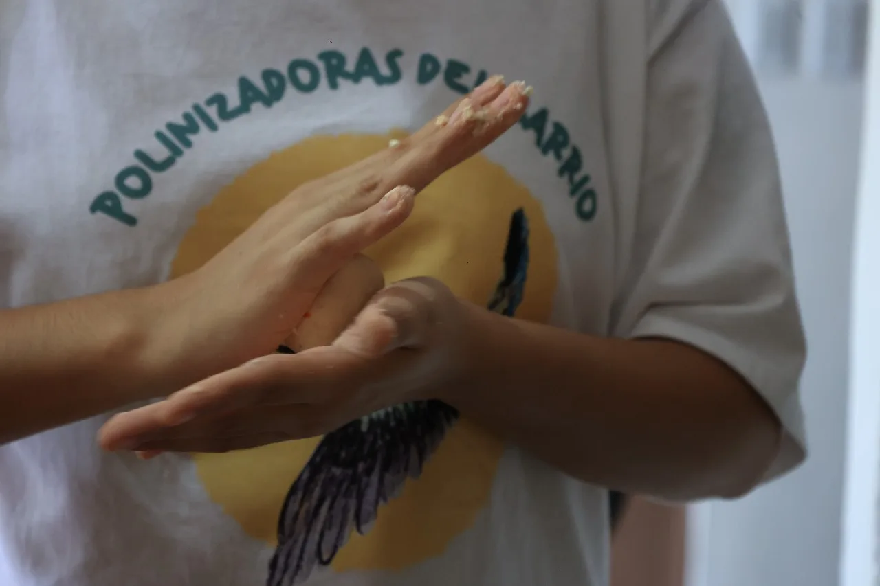 Recetario de Polinizadoras 2025